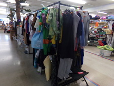 Adult and children's costumes
$3.80