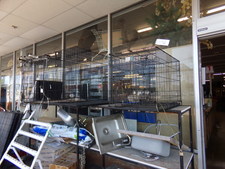 Wire pet/animal cages.  On top shelf in our e ntry foyer
$56.30
