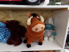 PUMBA - WART HOG 
Come see our toys!
$19.90
